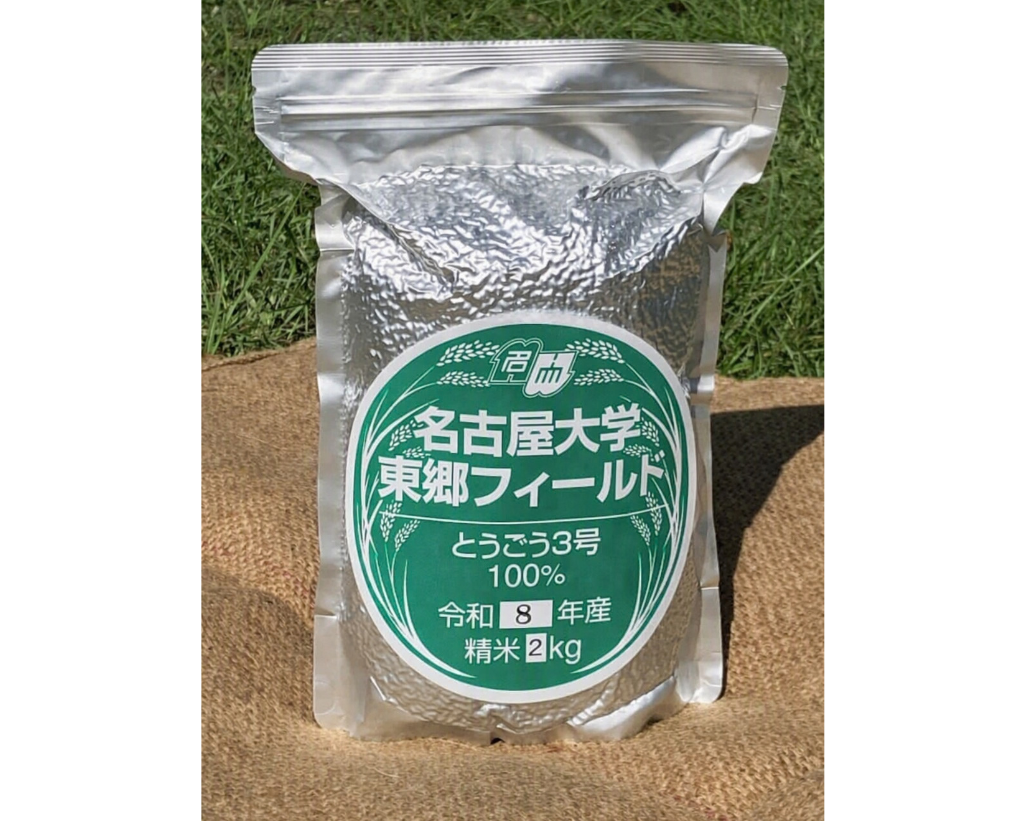 画像4