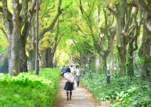 What makes Nagoya University special